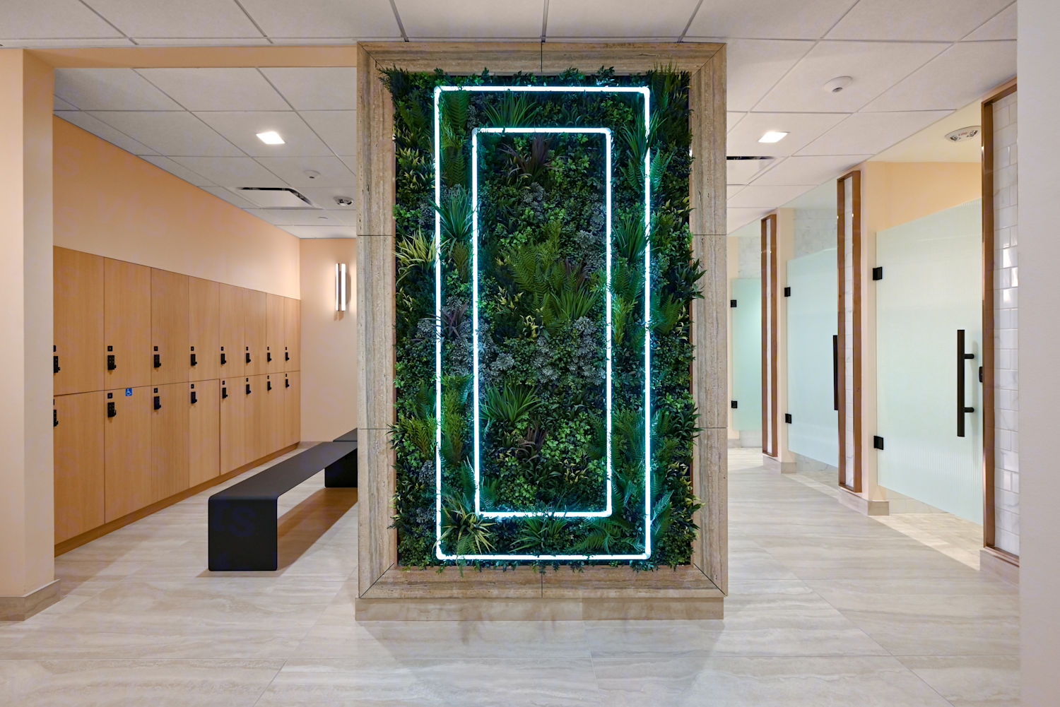 Upscale locker room and wellness area with light wood-paneled lockers, frosted glass doors, and a central decorative plant wall framed by rectangular neon lights.